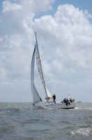 One More Knot, Elan 333, GBR7563T